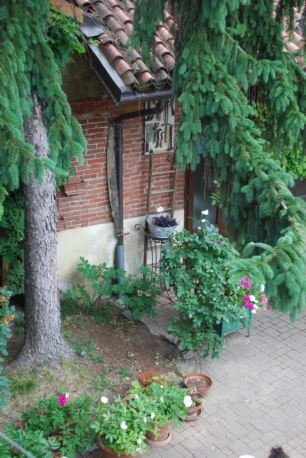 La Curandera Bed & Breakfast Rosta Exterior foto